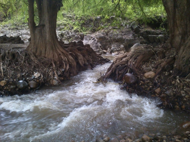  水和土地 